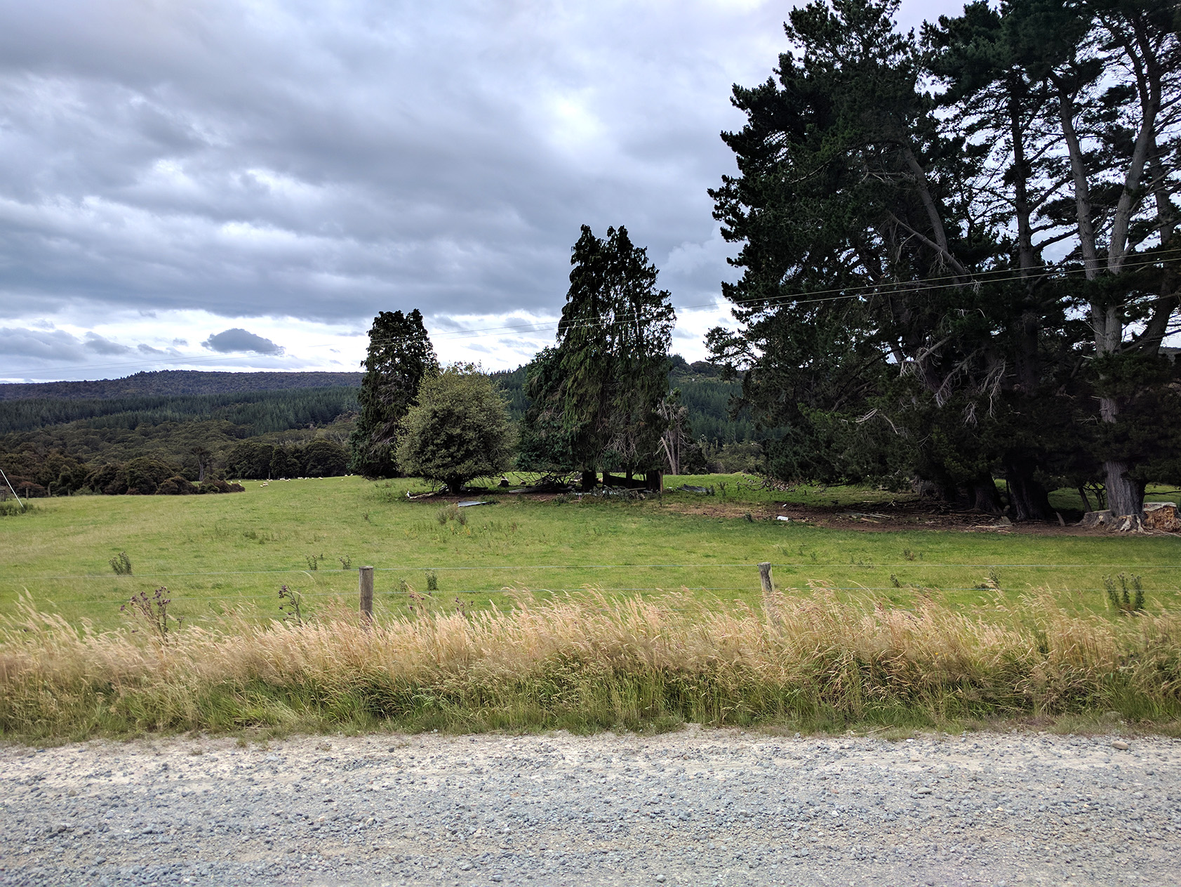 Photo of photos/William Murdoch (Dick) McLennan homestead site